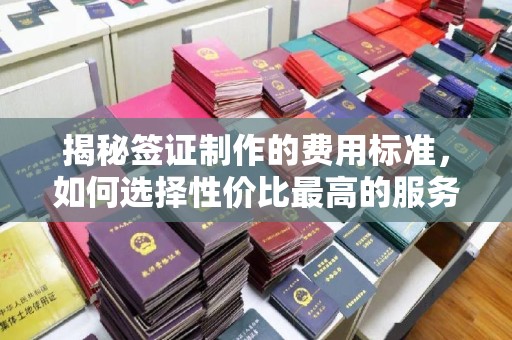 龙亭揭秘签证制作的费用标准，如何选择性价比最高的服务？