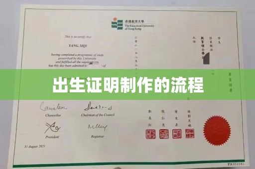 龙亭出生证明制作的流程