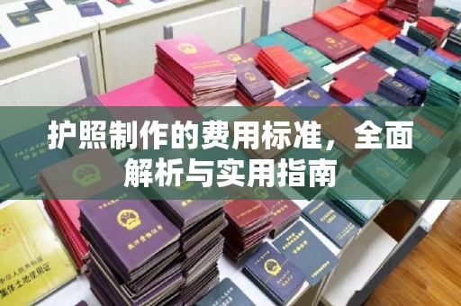 龙亭护照制作的费用标准，全面解析与实用指南