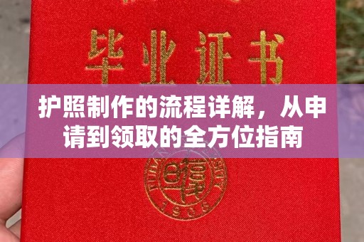 龙亭护照制作的流程详解，从申请到领取的全方位指南