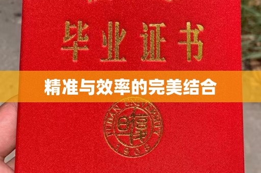 龙亭精准与效率的完美结合